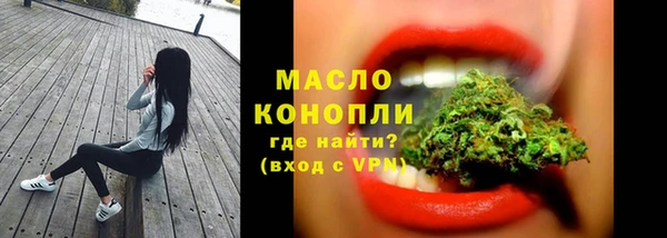 дмт Пересвет