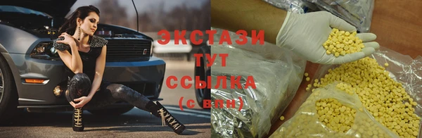 дмт Пересвет