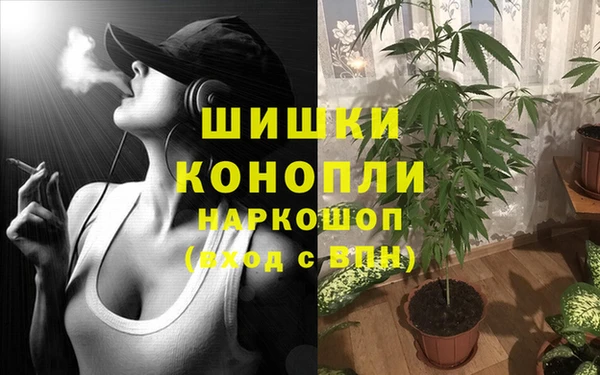 дмт Пересвет