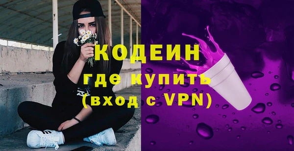 сатива Беслан