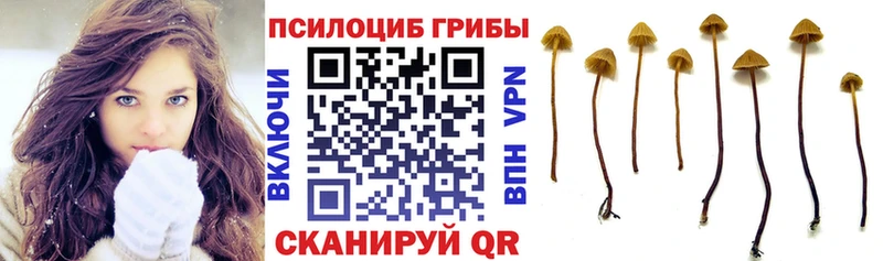 Галлюциногенные грибы Cubensis Нальчик