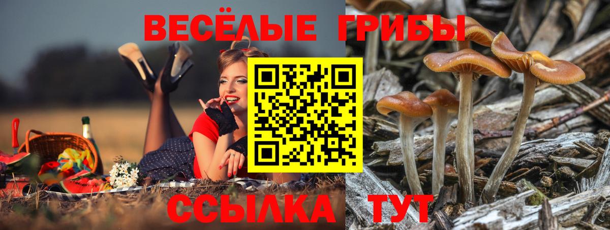 ГАШ  Вход с VPN  Канабис  Нальчик  Кокаин  Alpha PVP СК   МЕФ   Гашиш  Лсд 25 