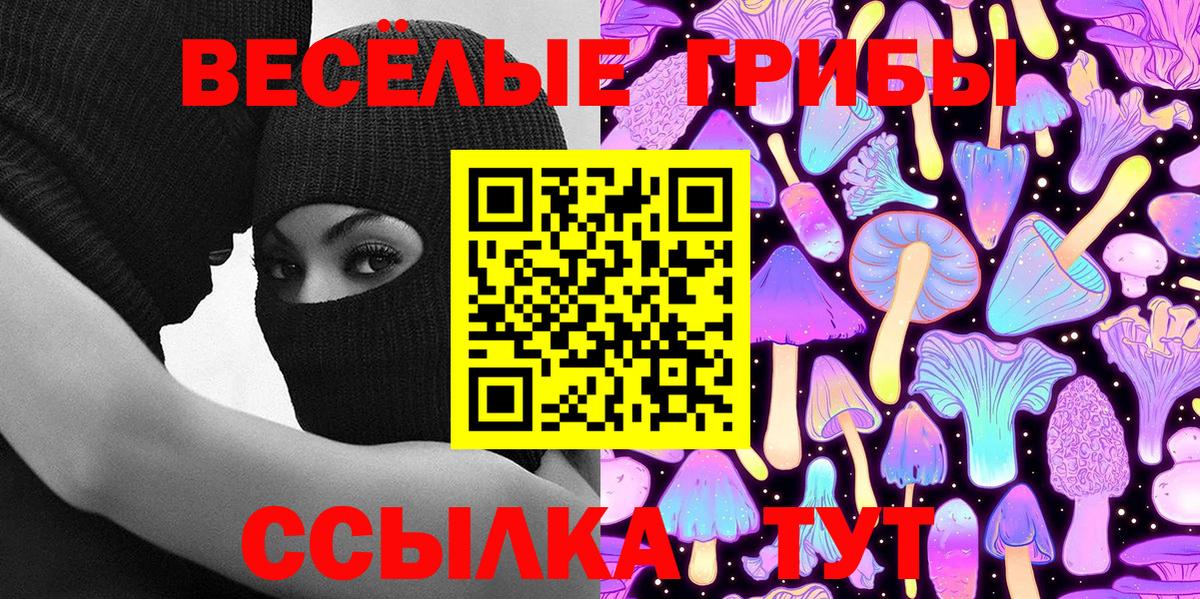 Нальчик  Галлюциногенные грибы Psilocybe  Вход с VPN  Галлюциногенные грибы мицелий 