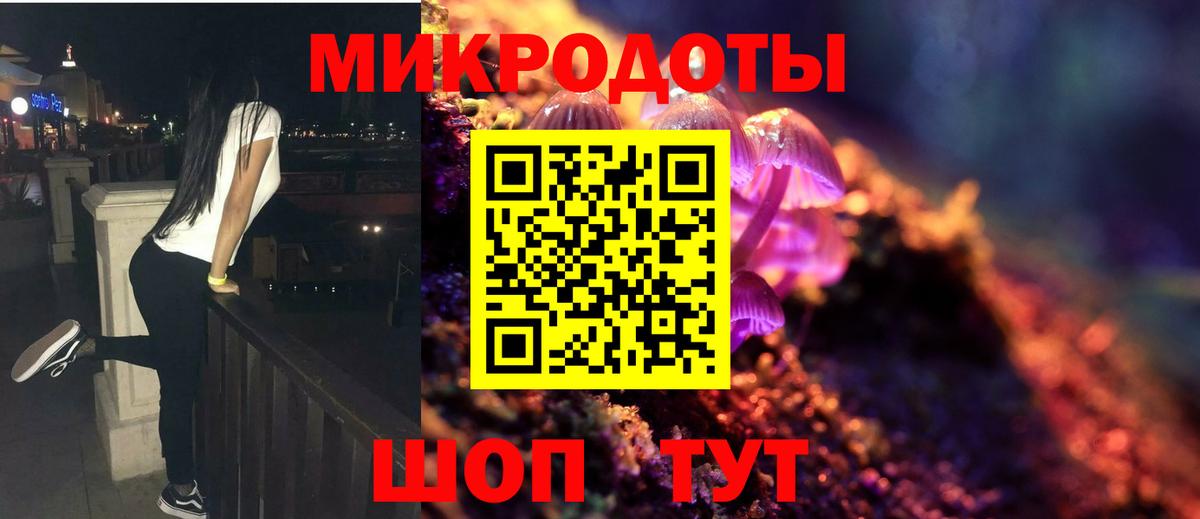 Псилоцибиновые грибы Cubensis Нальчик
