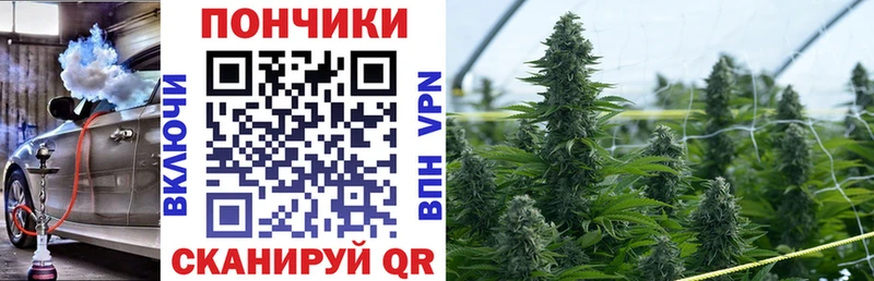 где купить наркоту  нарко площадка как зайти  Бошки марихуана планчик  Нальчик 